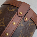 Louis Vuitton Papillon Trunk