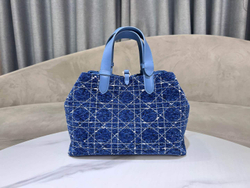 Christian Dior Medium Toujours Bag 28 cm