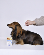 ДИРОНЕТ СПОТ-ОН Капли от блох, клещей и гельминтов для щенков (4 пипетки)