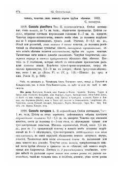 Флора Алтая и Томской губернии. Том 4. Polemonиaceae-Plantagиneae | П. Н. Крылов