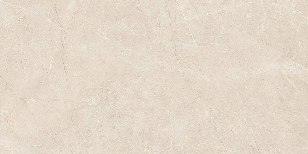 60x120 MoonLight Греж Матовый R10A Ректификат
