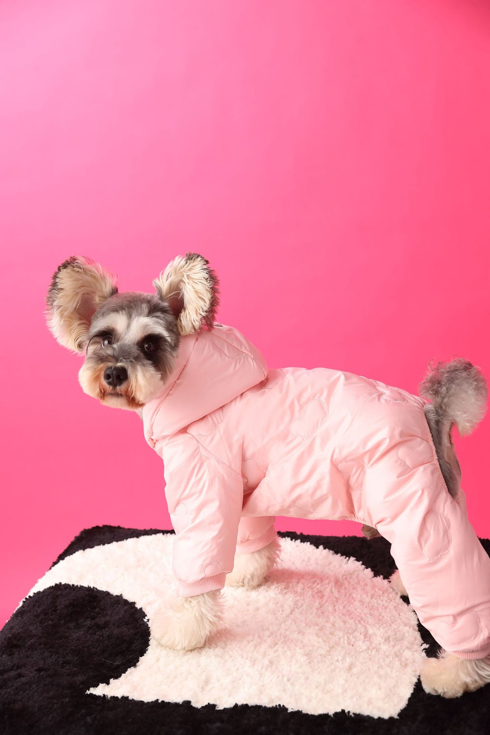 Комбинезон для собак унисекс Облака