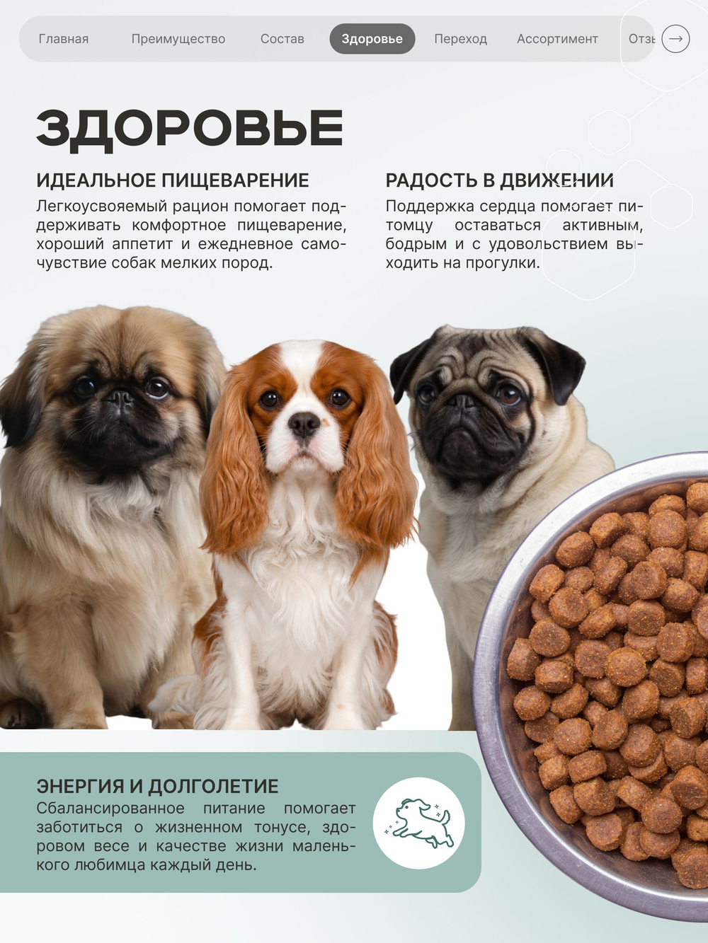 Корм для собак мелких пород SF Cardio Guard, (дилатационная кардиомиопатия), 6 кг, QUATTRO