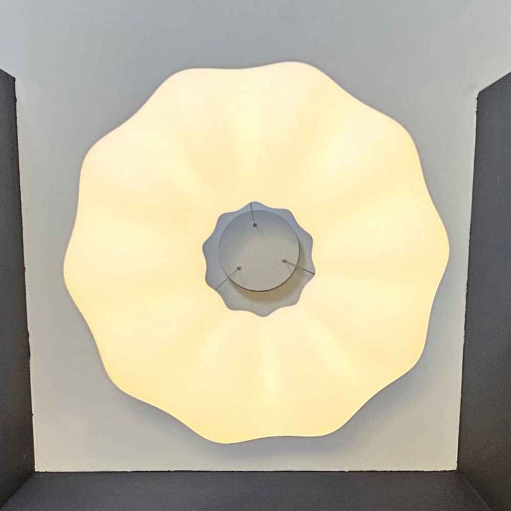 Подвесной светильник Zortes Soft ZRS.1119.03