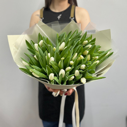 Букет из 51 хрустящего белого тюльпана  1084