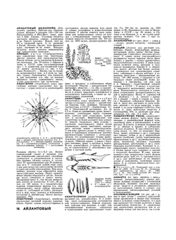 Биологический энциклопедический словарь | М.С. Гиляров