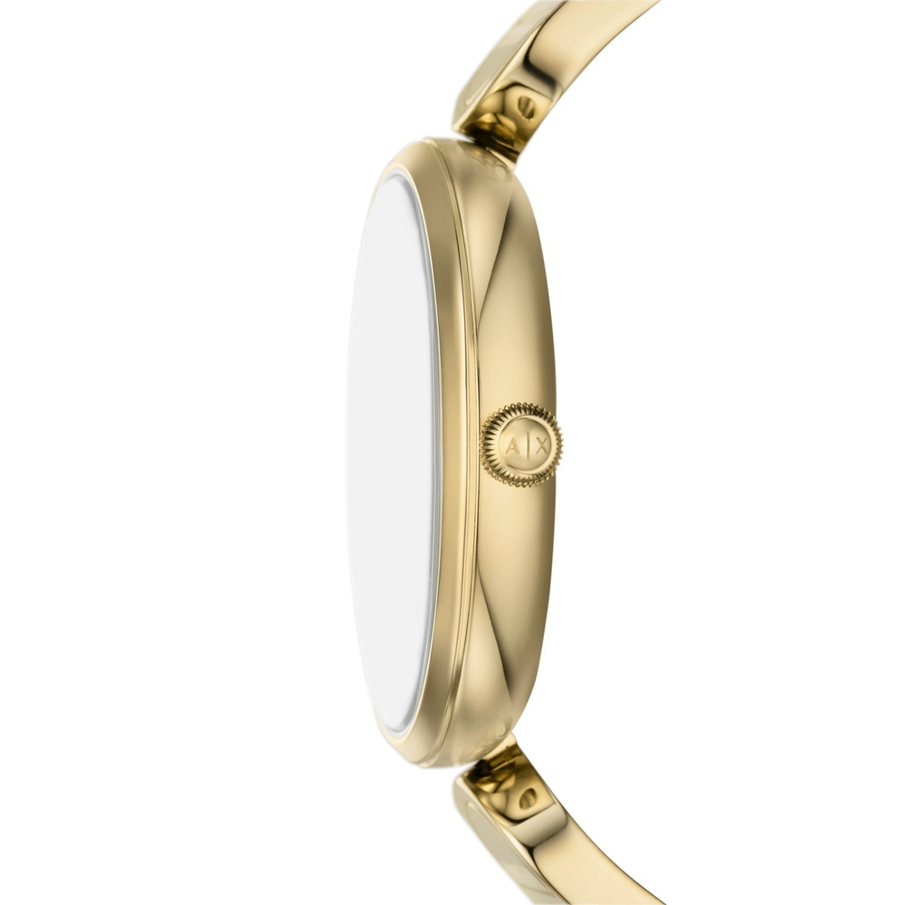 Женские наручные часы Armani Exchange AX5385