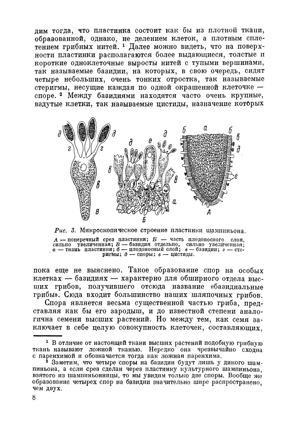 Грибы, их строение, жизнь и значение | М.М. Голлербах