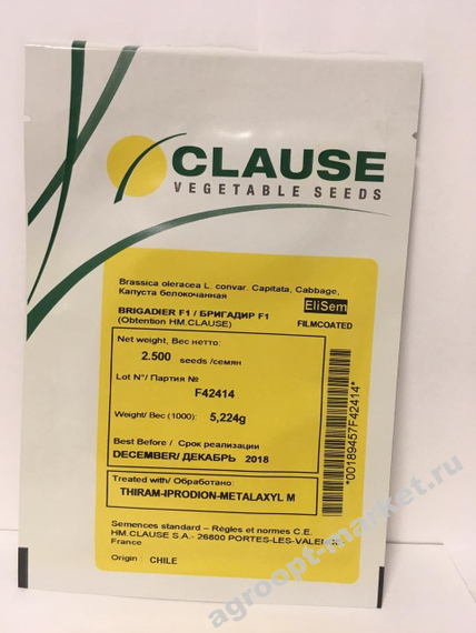Бригадир F1 семена капусты белокочанной (Clause / Клос) – фото 3