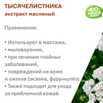 Экстракт тысячелистника, масляный