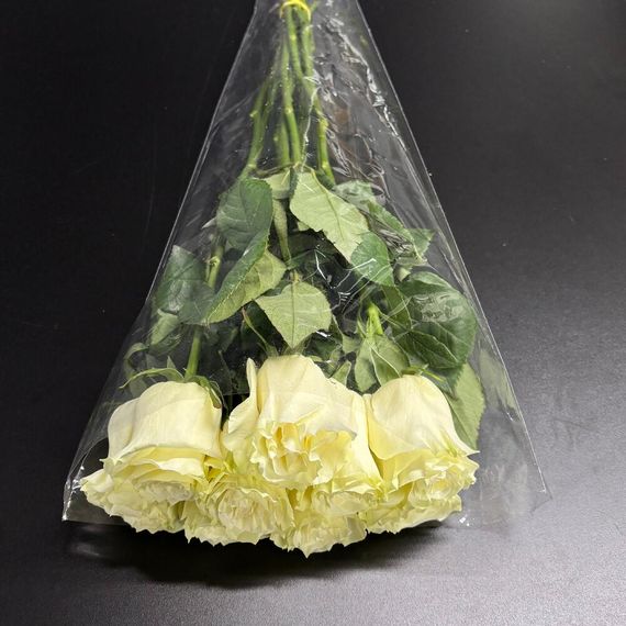 розы Mondial Tessa