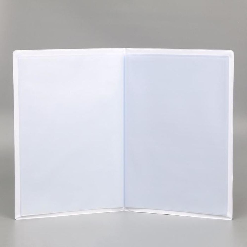 5365319 Папка для документов «Docs», 12 файлов, 4 комплекта, А4