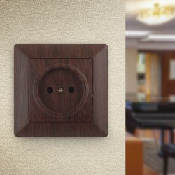 4-201-10 Intro Розетка 2P, 16А-250В, СУ, Solo, венге