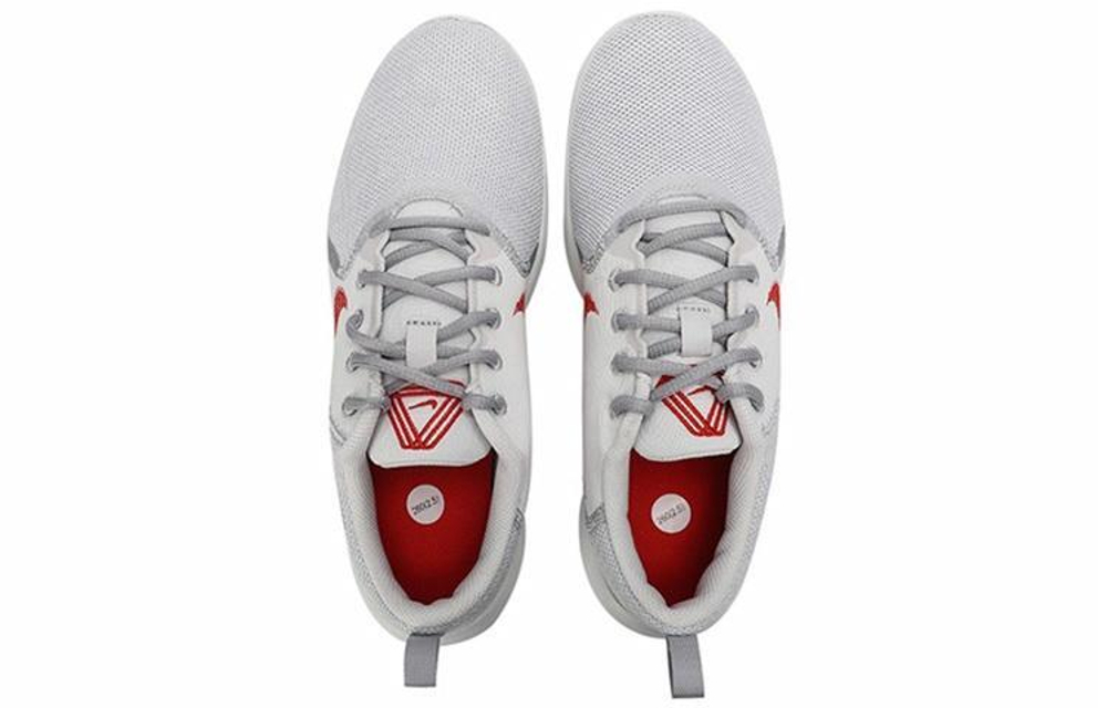 Кроссовки Nike Flex Experience Rn 10