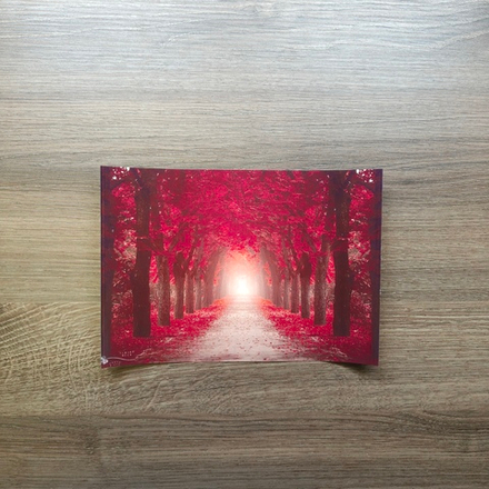 А5 фото матовая