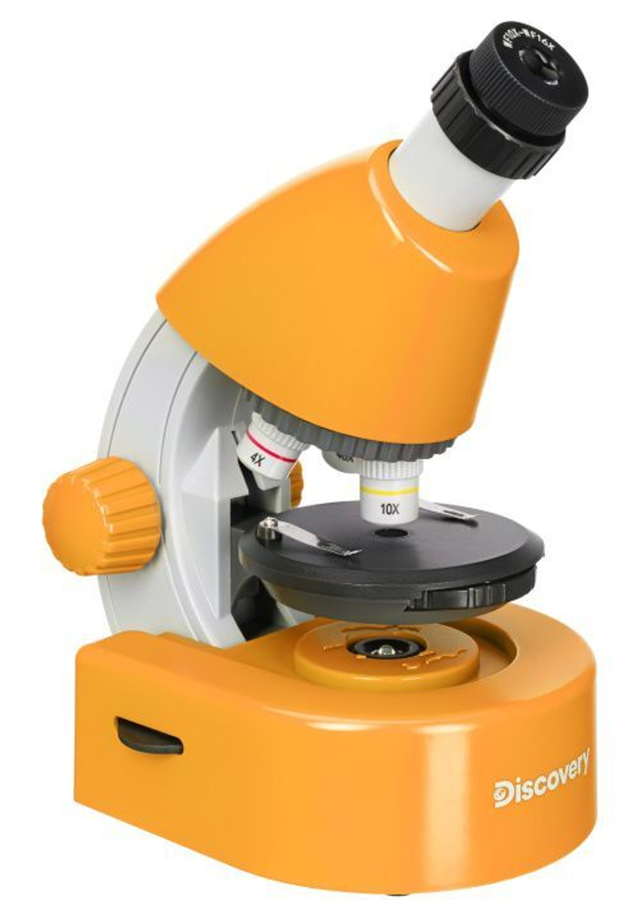 Микроскоп Levenhuk Discovery Micro Solar с книгой