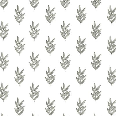 Ветки оливы. Olive branches