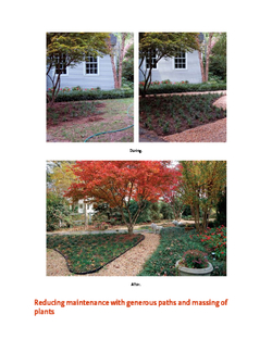 Lawn Gone! Low-Maintenance, Sustainable, Attractive Alternatives for Your Yard