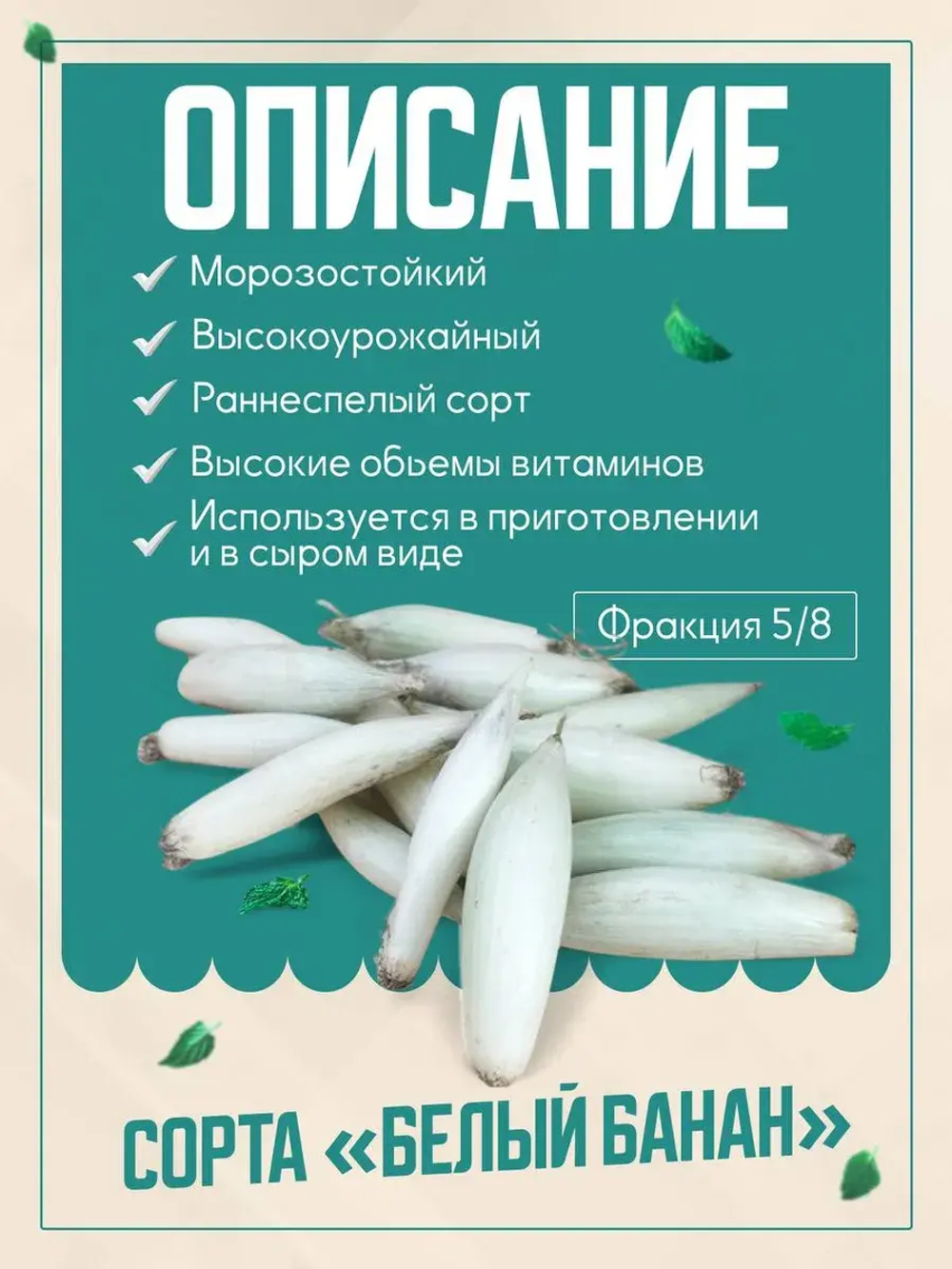 Лук шалот Белый Гигант