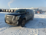 Cadillac ESCALADE 6.2 V8 Luxury (426 л.с.)