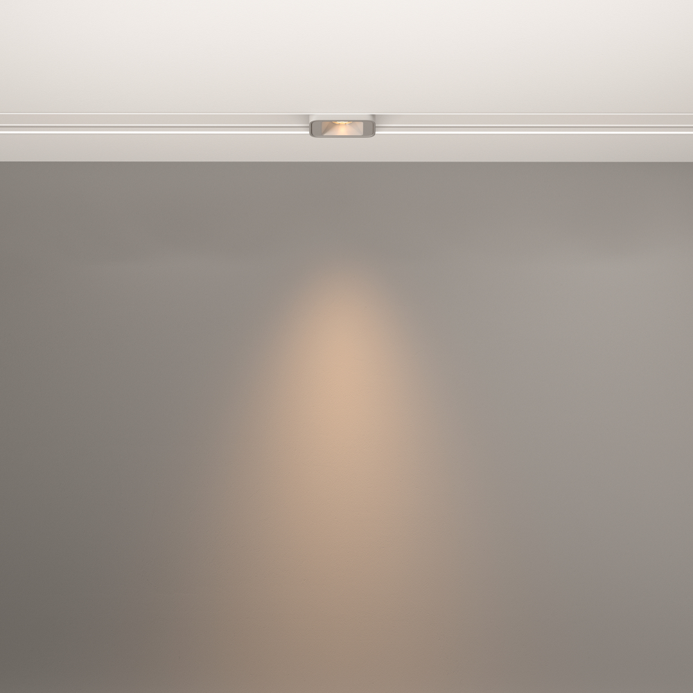 Трековый светильник Technical TR100-2-2W3K-S-W