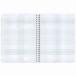 Тетрадь А5 48 л. BRAUBERG, гребень, клетка, обложка картон, "Nature", 404340, 4шт