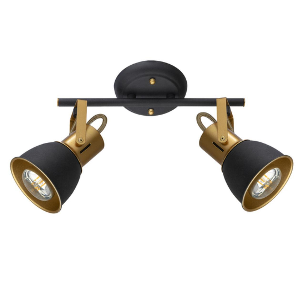 Потолочный светильник Arte Lamp JOVI A1677PL-2GO