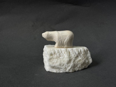 Белый медведь на льдине