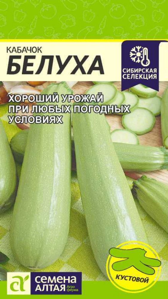 Кабачок &quot;G. Белуха&quot; 2г., Россия.
