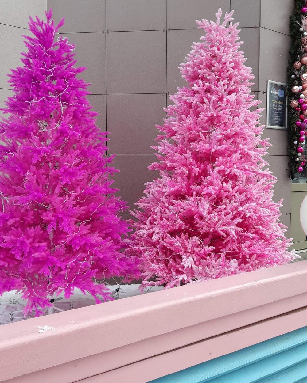 Заснеженная розовая елка «Фэнтези» (Литая хвоя) 150 см / 1,5 м