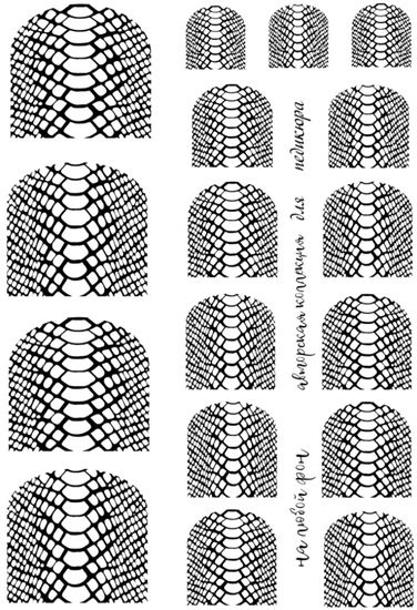 Слайдер-дизайн педикюрный Crazy Shine Nails mini: Рептилия