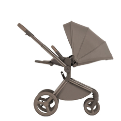 Anex Детская коляска Flo 2 в 1 Yuki