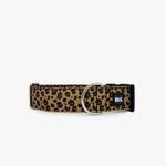 Ошейник Неуловимый леопард