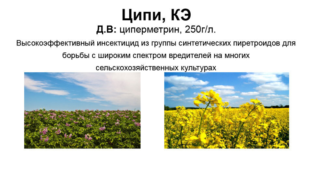 Инсектицид Ципи, КЭ (250 г/л)