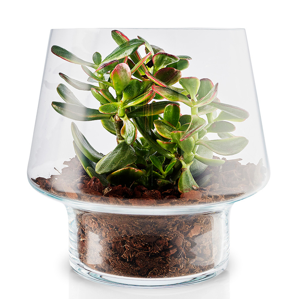 Ваза для суккулентов, D21 см