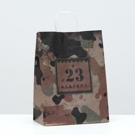 Пакет крафт "Камуфляж", крученая ручка 22 х 12 х 29 см