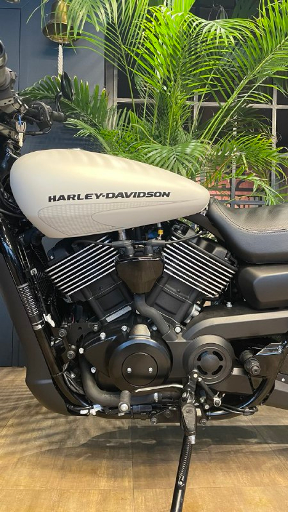 Harley-Davidson Street ROD 2017