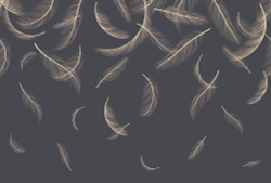 Коллекция Line art