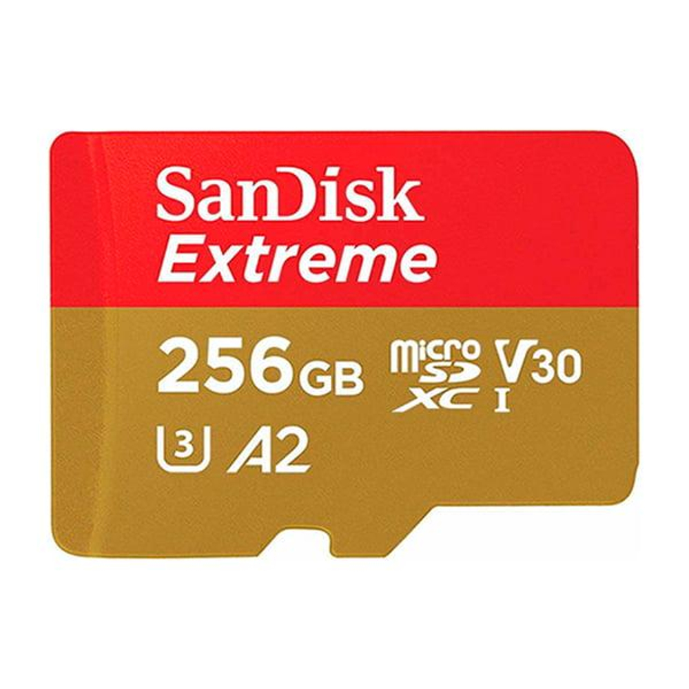 Флеш-накопитель SanDisk SDSQXBZ-256G-GN6MA