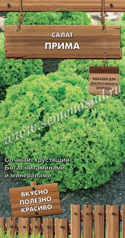 Салат Прима (Декоративный огород) 1г Ц Поиск