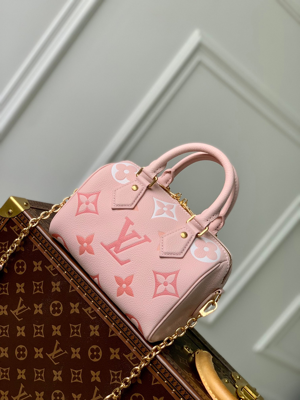 Louis Vuitton Speedy 20