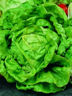 Семена Салат Берлинский желтый