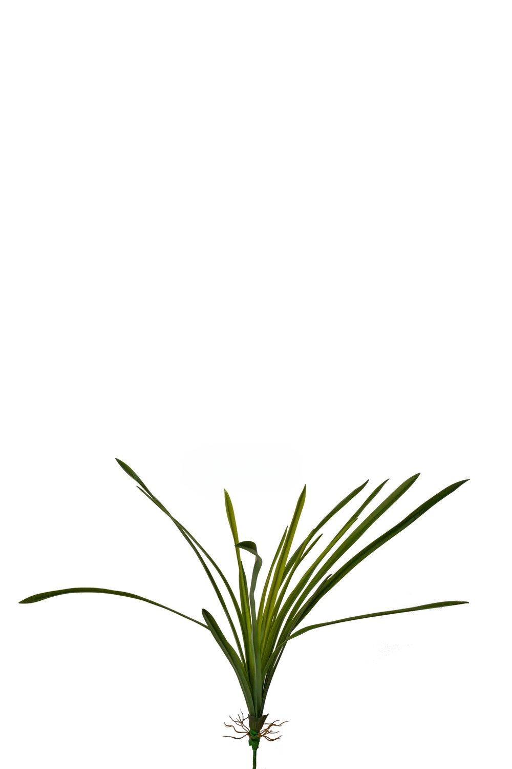 Куст из 18 листьев