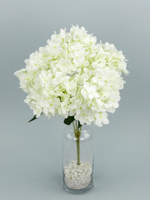 Букет гортензия Садовая