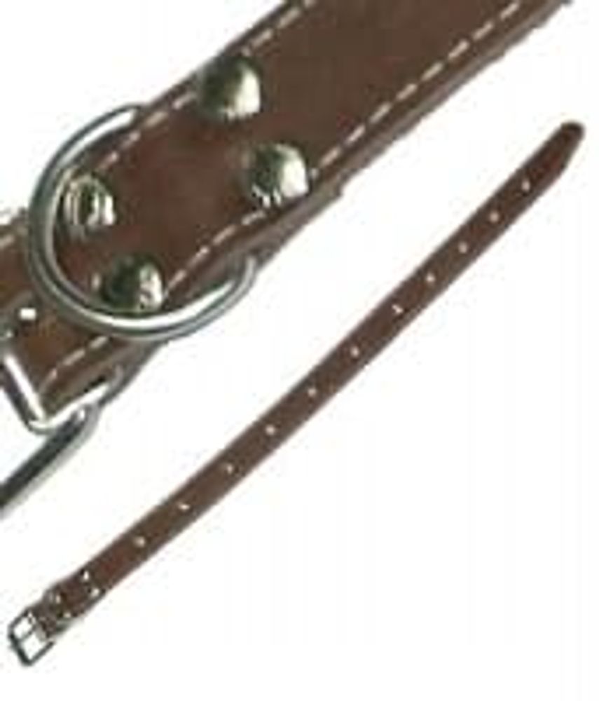 Ошейник шир.36мм 1-слойный с блочкой (057) длина 47-60см