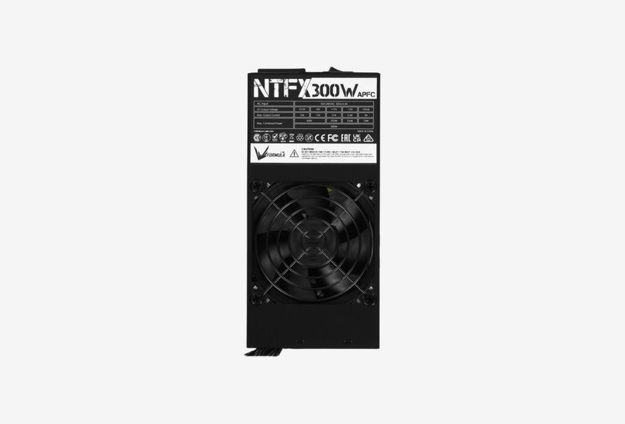 NTFX-300_0226709110341