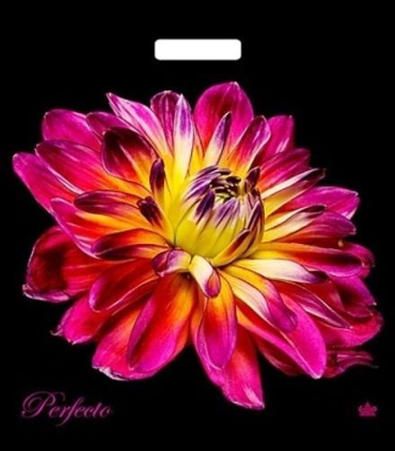 Пакеты с вырубной ручкой "Перфекто Герцогиня" 48х42+3см 90мкм (25/400шт)