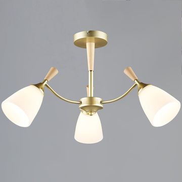 38960-0.3-03 GD+WOOD светильник потолочный