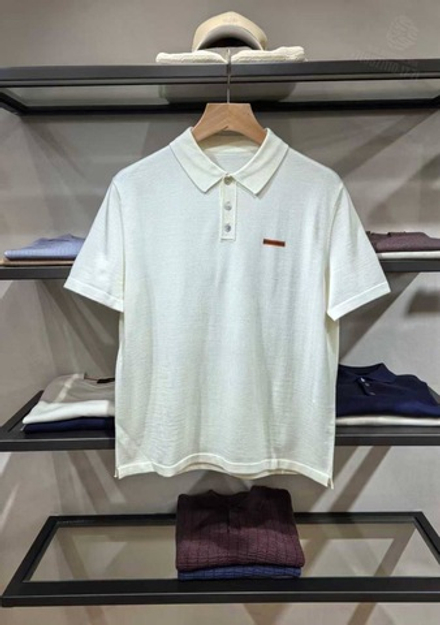 Поло Ermenegildo Zegna