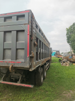 Shacman (Shaanxi) SX* 8x4 Самосвал SX33186W366C (Дизельный, 10,8 л, 441 л.с., МТ)